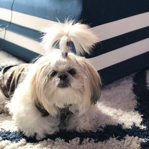 Meet your Posher, Roberta